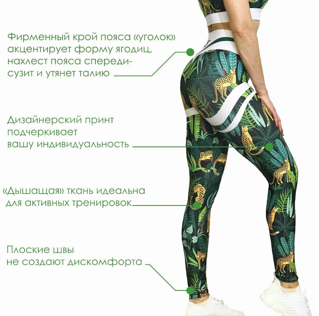 Лосины БАЗОВЫЕ-5